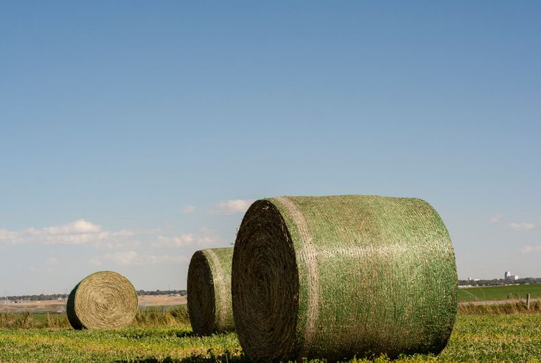 Bale net wrap | AGRI